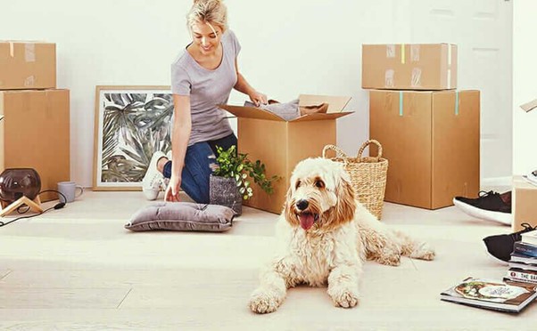 Keeping Your Pet Comfortable During The Relocation